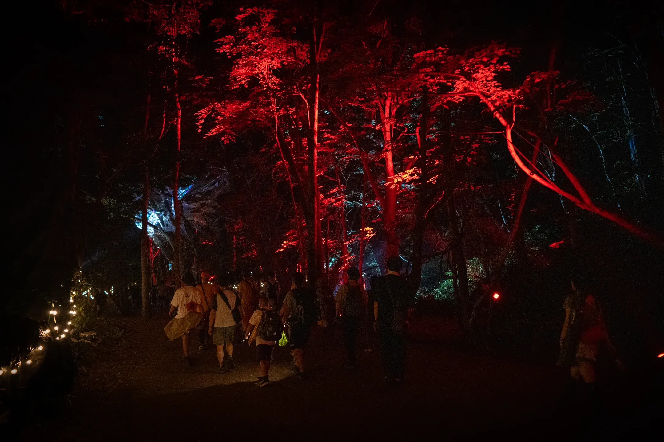 Section of the Fuji Rock forest with trees uplit in deep red as people walk the path at night
